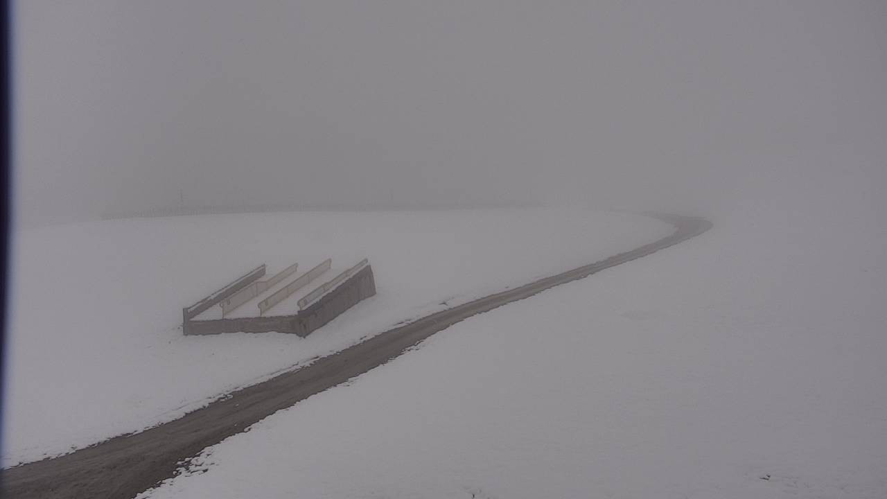 Archiv Foto Webcam Snowpark Flachauwinkl