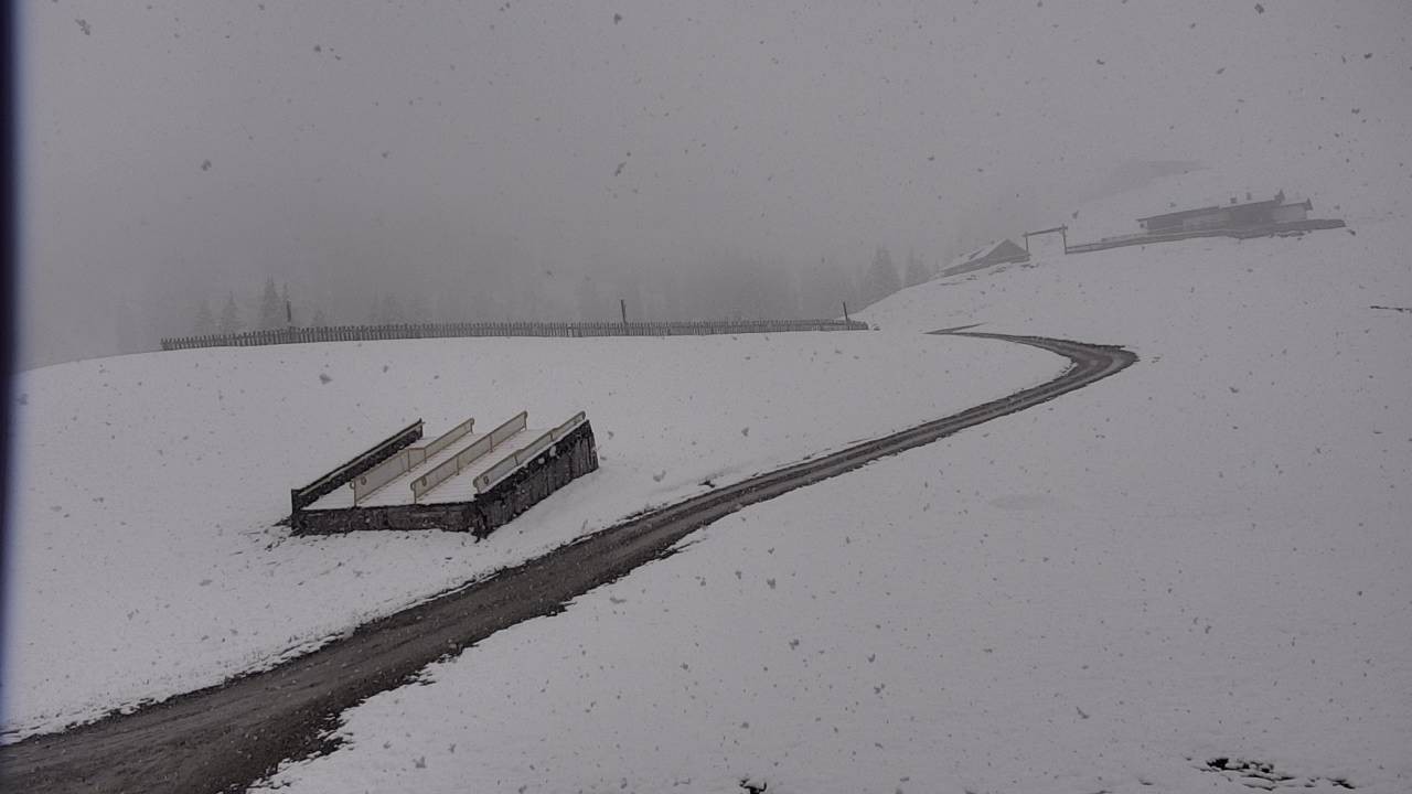 Archiv Foto Webcam Snowpark Flachauwinkl