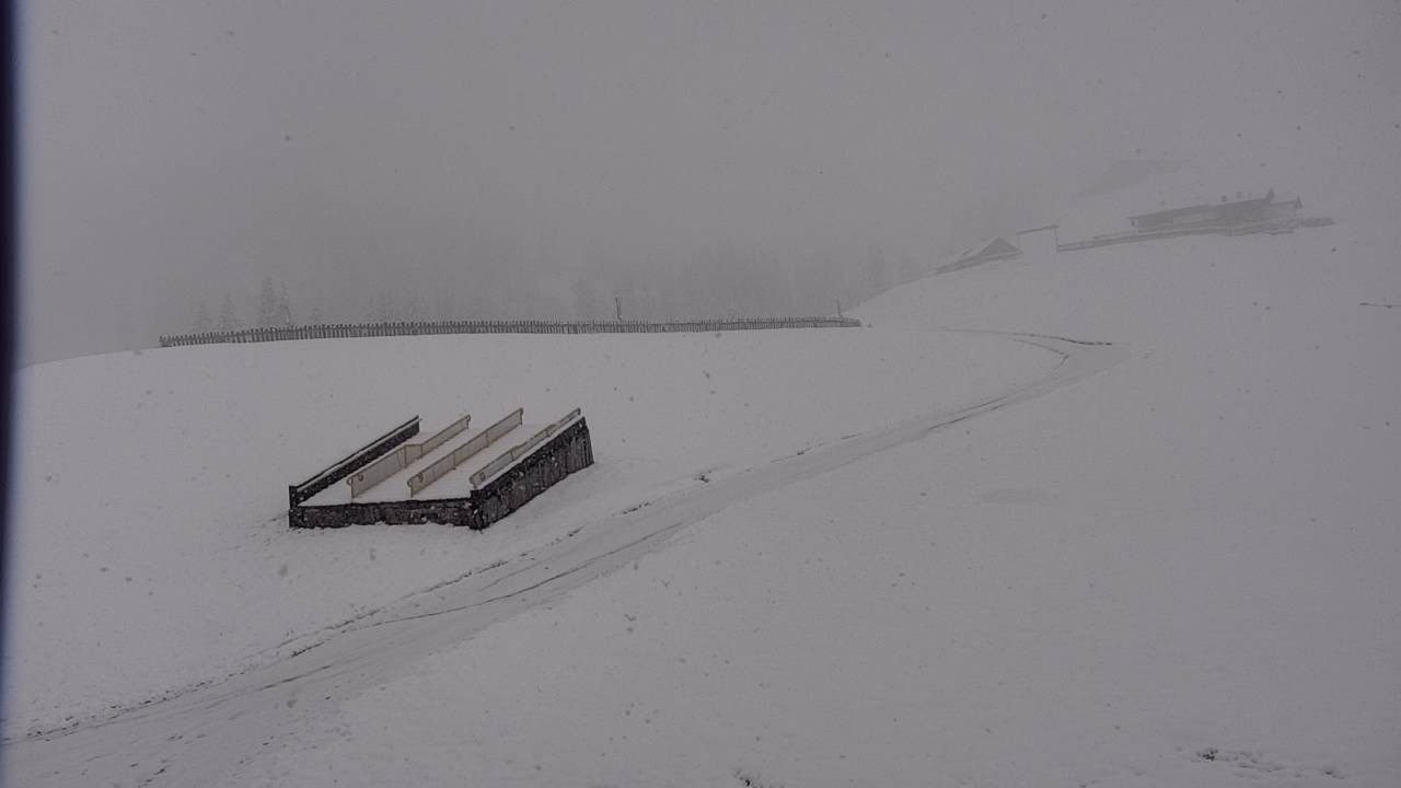 Archiv Foto Webcam Snowpark Flachauwinkl