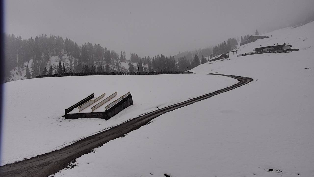 Archived image Webcam Snowpark Flachauwinkl