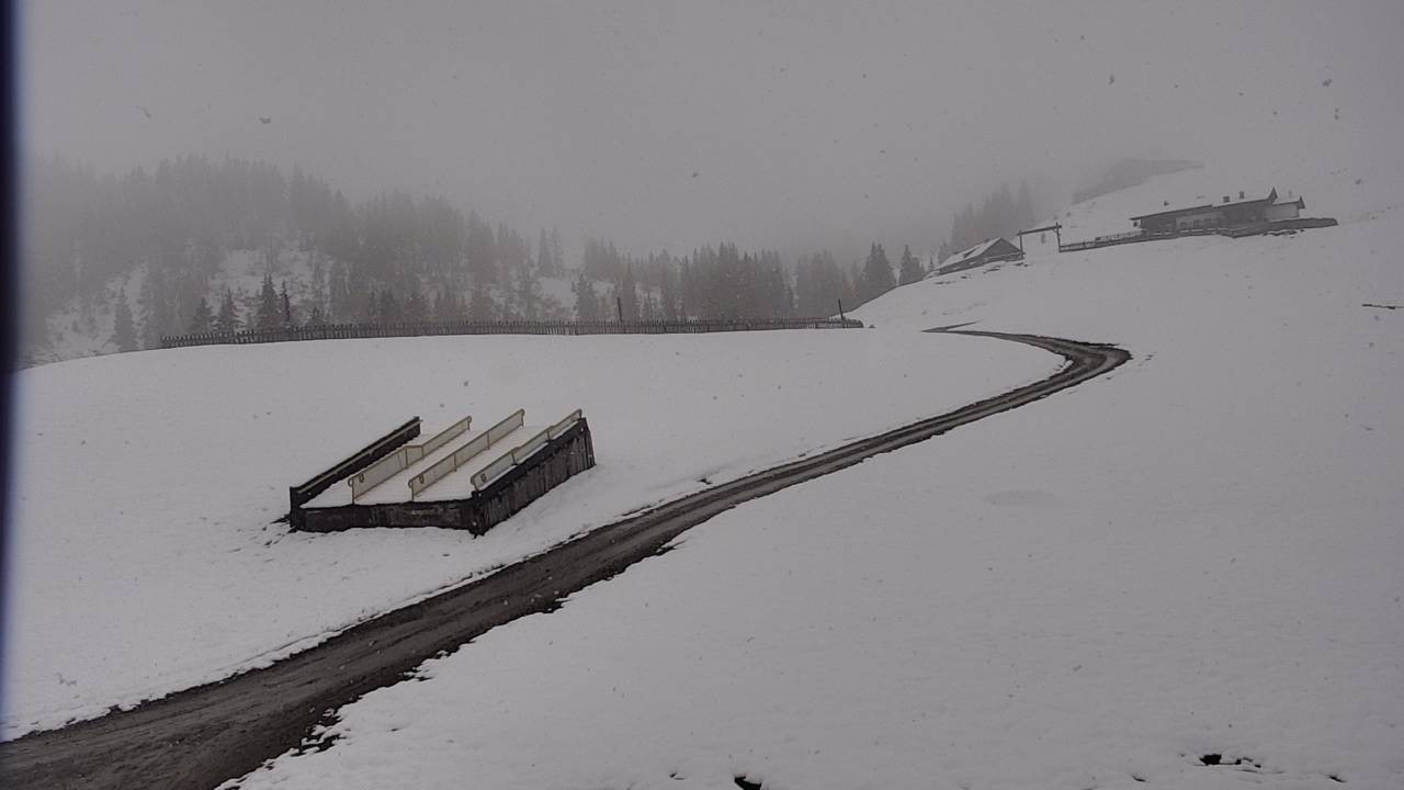 Archived image Webcam Snowpark Flachauwinkl