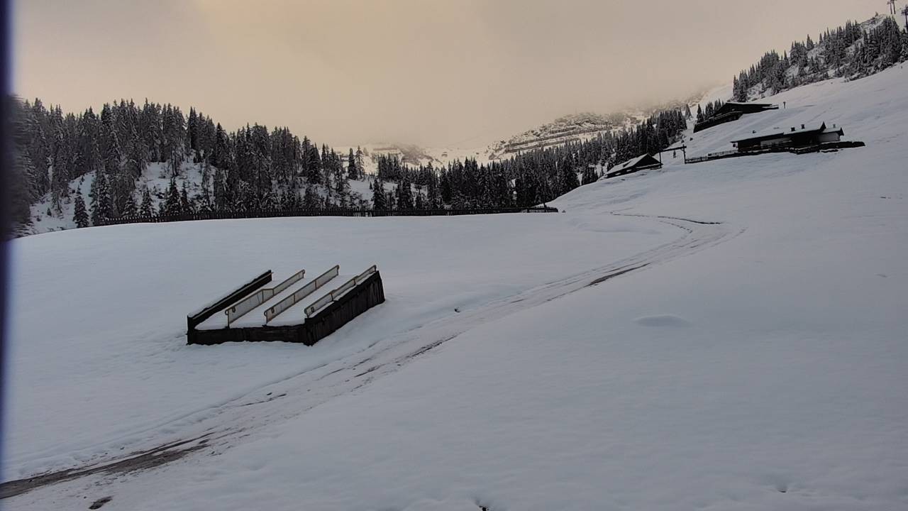 Archiv Foto Webcam Snowpark Flachauwinkl