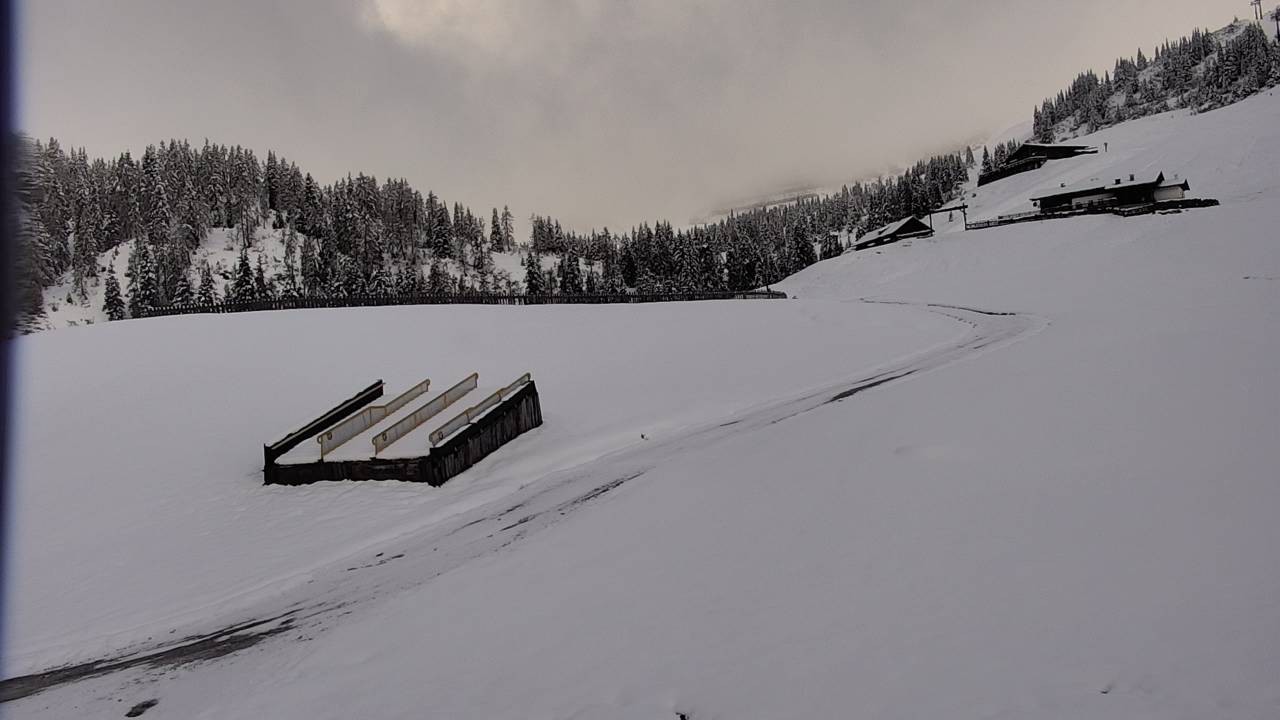 Archiv Foto Webcam Snowpark Flachauwinkl