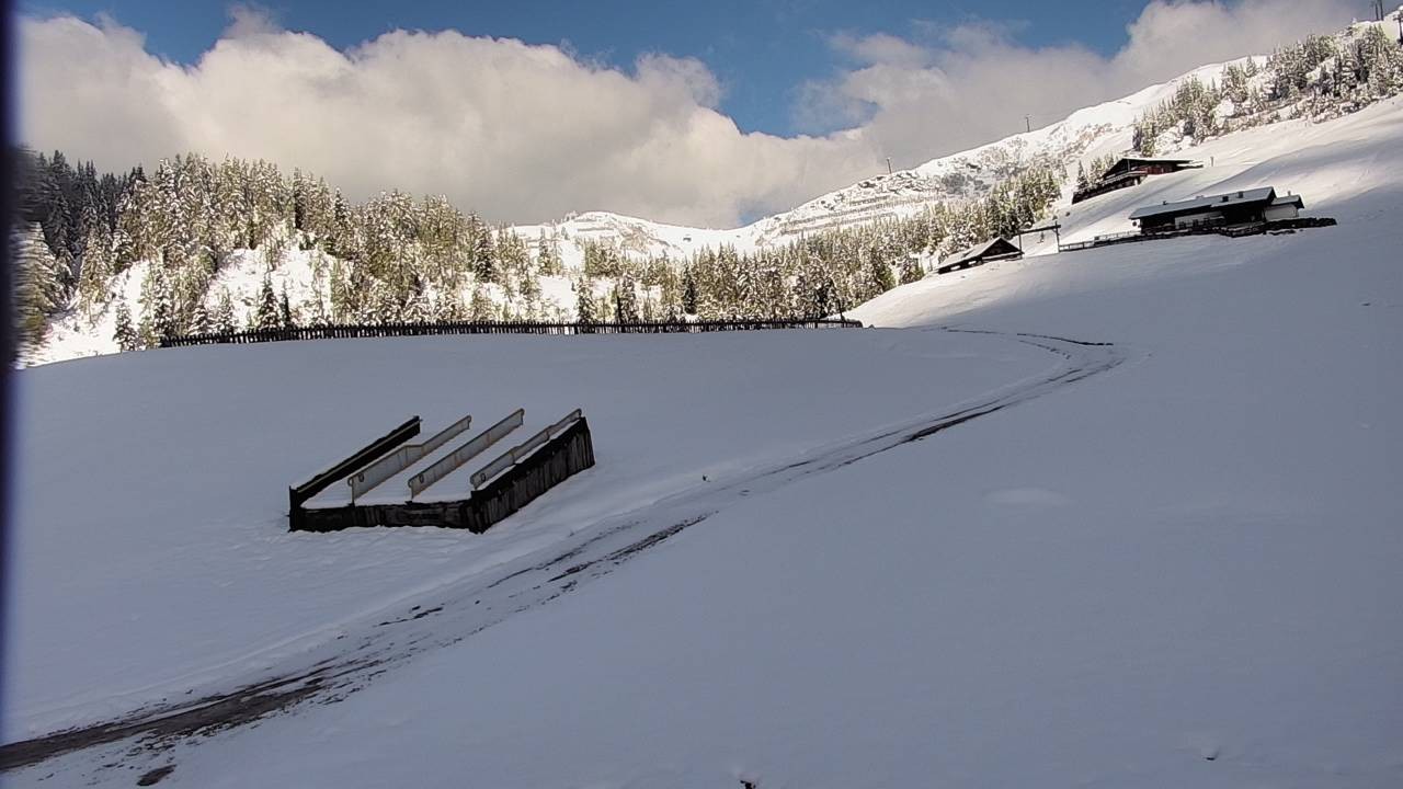Archiv Foto Webcam Snowpark Flachauwinkl