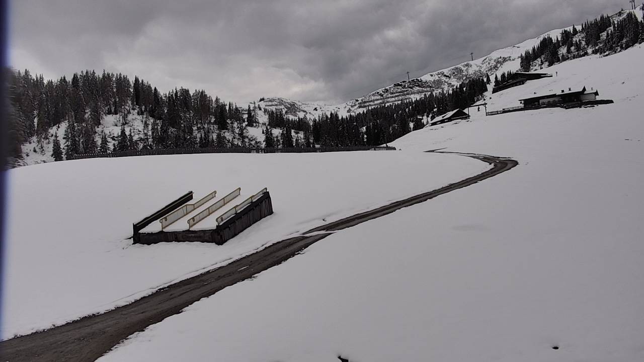 Archiv Foto Webcam Snowpark Flachauwinkl
