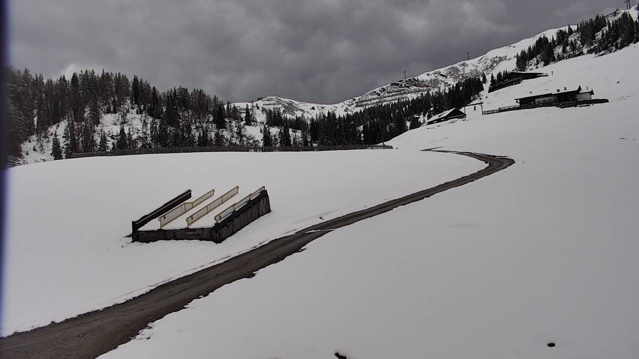Archiv Foto Webcam Snowpark Flachauwinkl