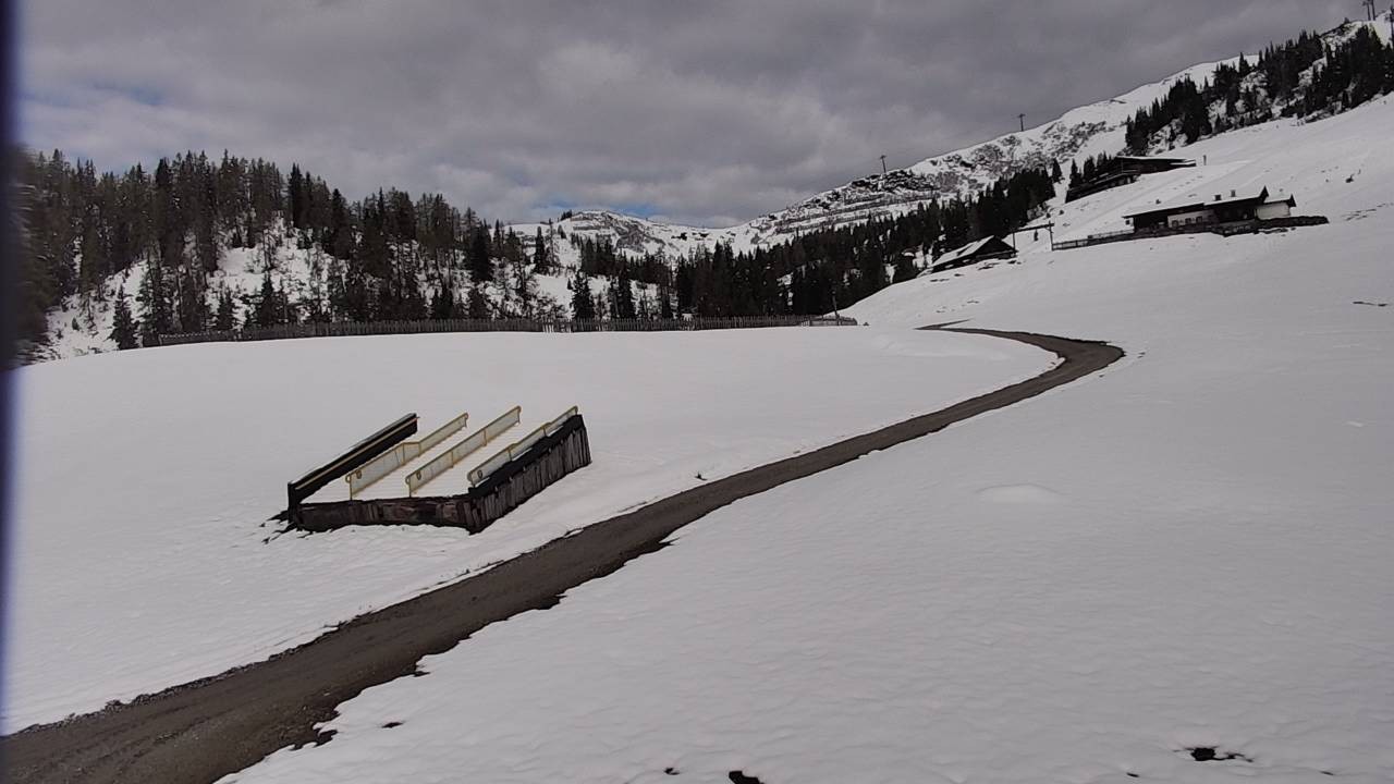 Archiv Foto Webcam Snowpark Flachauwinkl