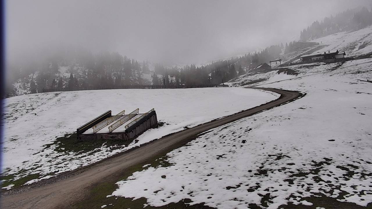 Archived image Webcam Snowpark Flachauwinkl