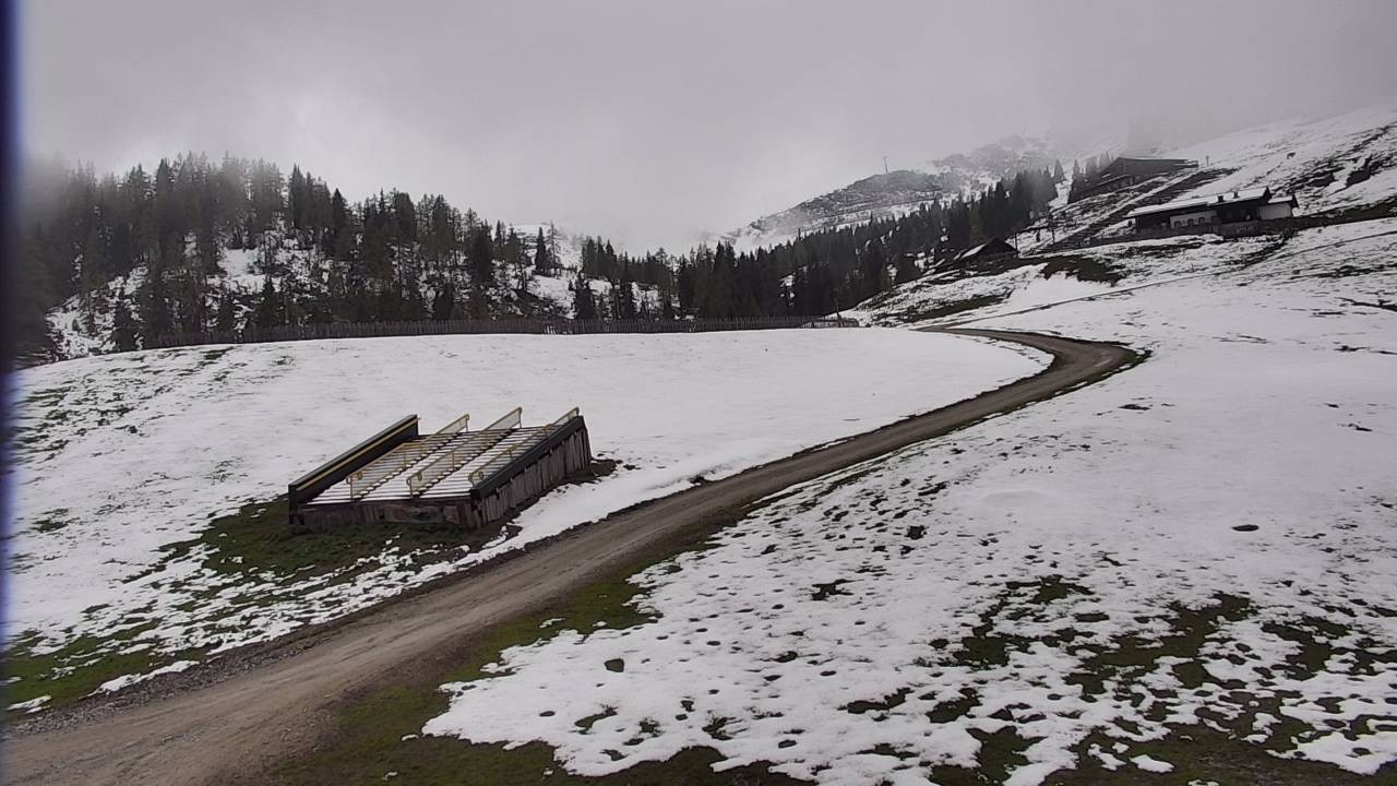 Archived image Webcam Snowpark Flachauwinkl