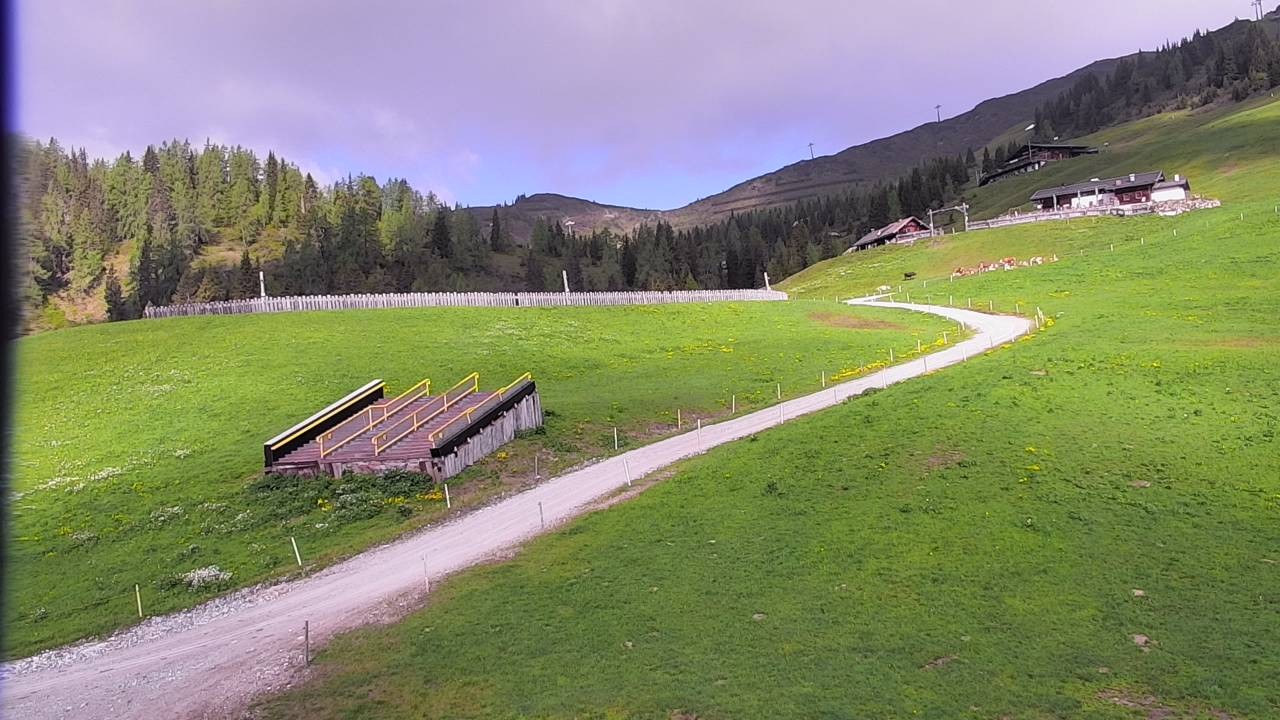 Archiv Foto Webcam Snowpark Flachauwinkl