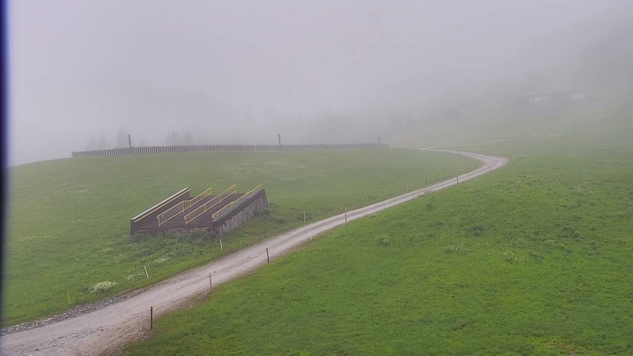 Archiv Foto Webcam Snowpark Flachauwinkl