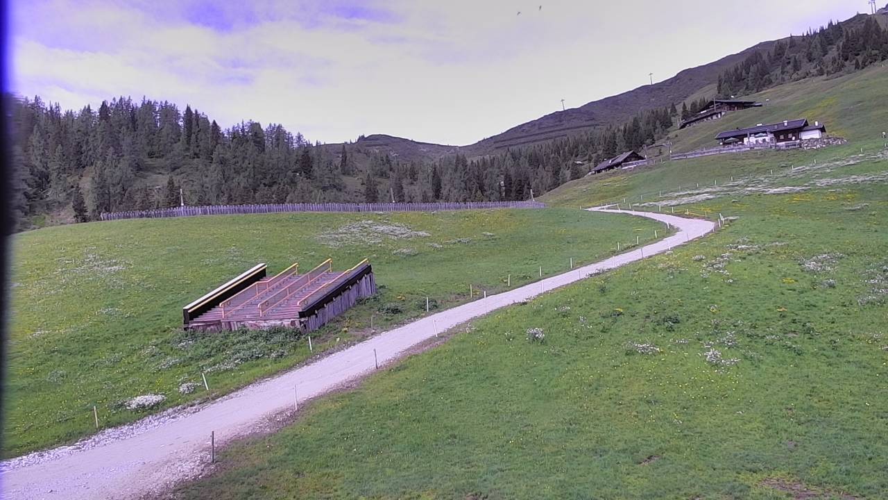 Archiv Foto Webcam Snowpark Flachauwinkl
