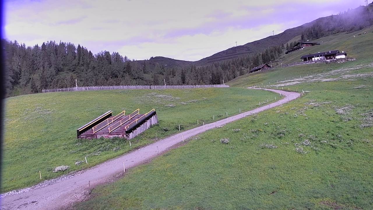 Archiv Foto Webcam Snowpark Flachauwinkl