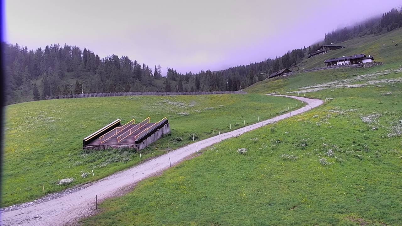 Archiv Foto Webcam Snowpark Flachauwinkl