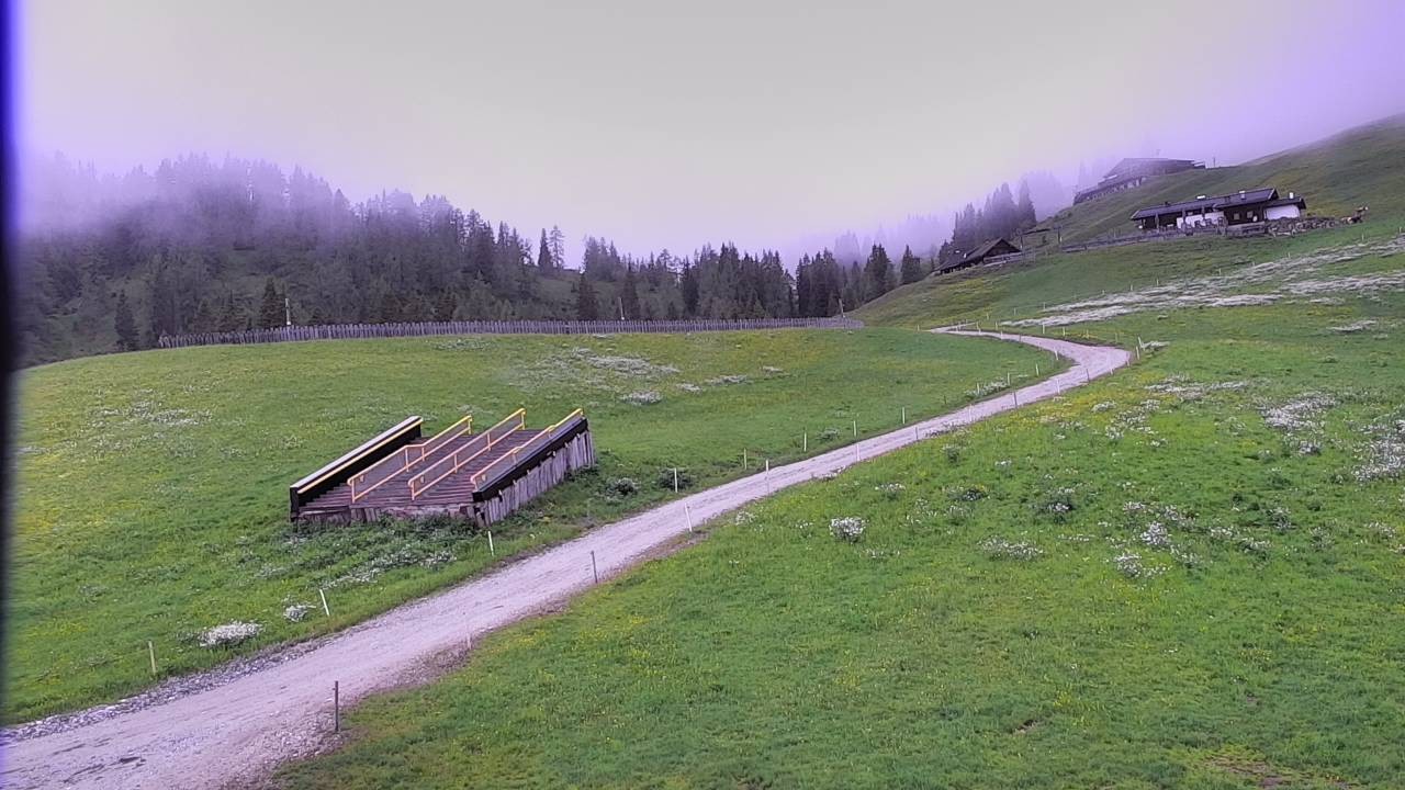Archived image Webcam Snowpark Flachauwinkl