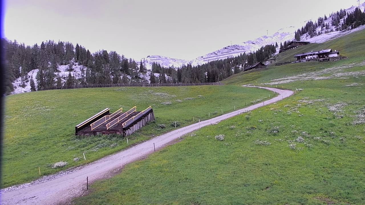 Archived image Webcam Snowpark Flachauwinkl