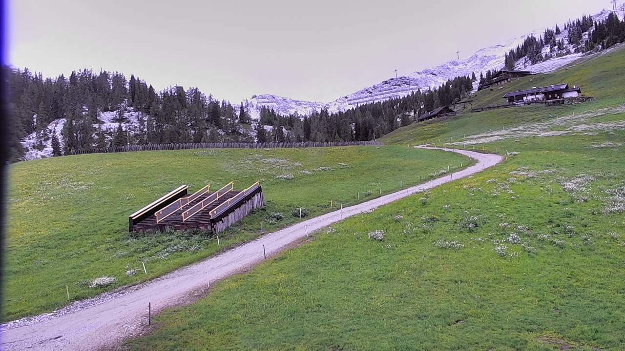 Archived image Webcam Snowpark Flachauwinkl