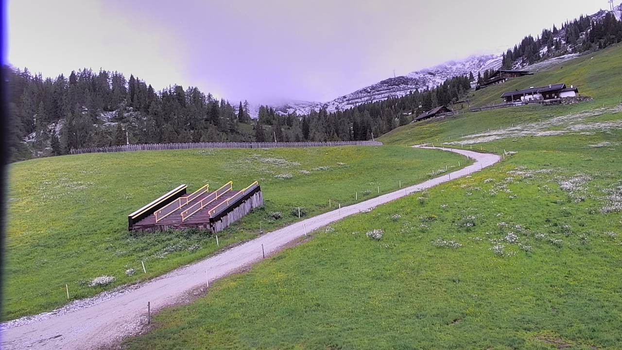 Archived image Webcam Snowpark Flachauwinkl