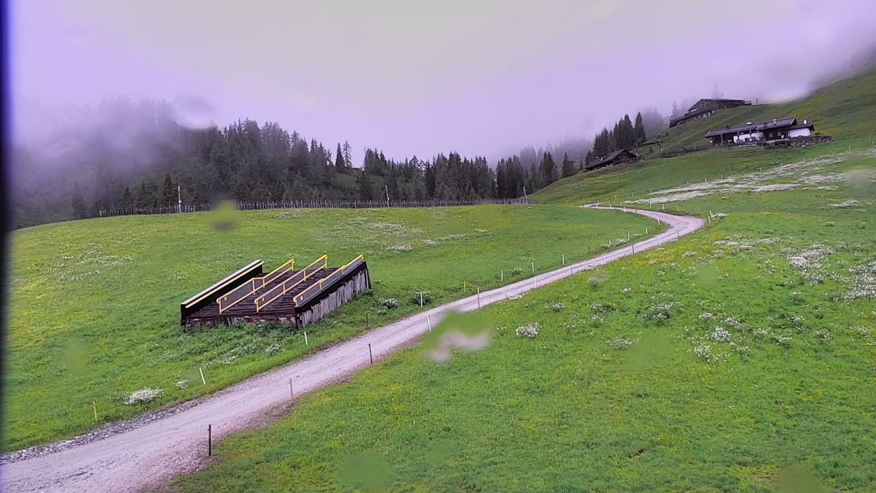 Archiv Foto Webcam Snowpark Flachauwinkl