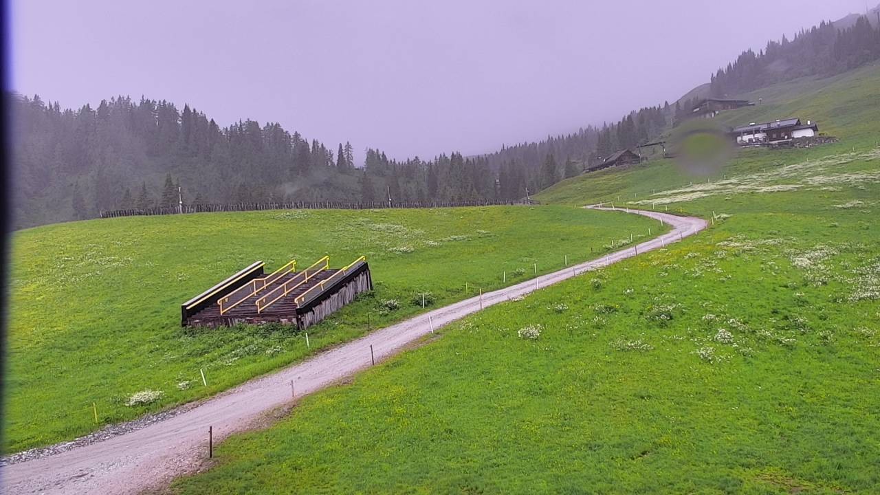 Archiv Foto Webcam Snowpark Flachauwinkl