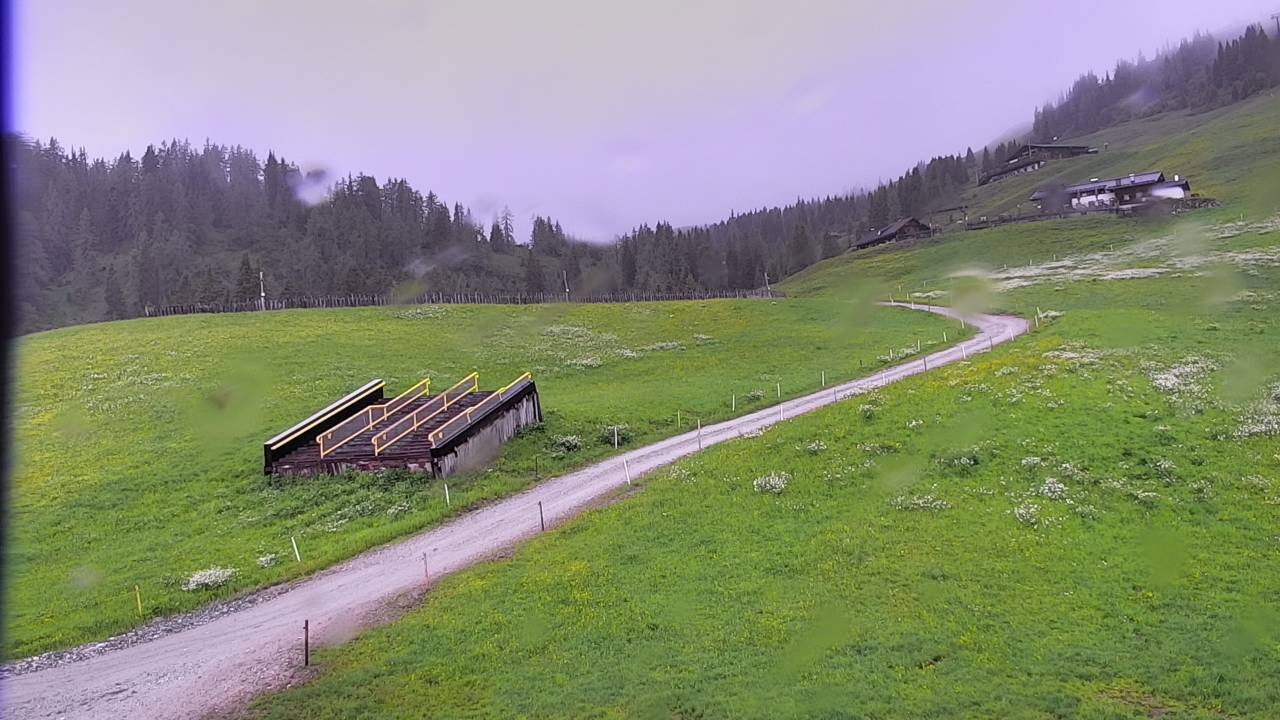 Archiv Foto Webcam Snowpark Flachauwinkl