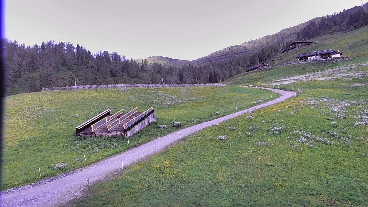 Archiv Foto Webcam Snowpark Flachauwinkl
