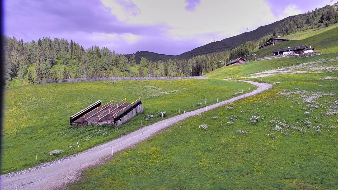 Archiv Foto Webcam Snowpark Flachauwinkl