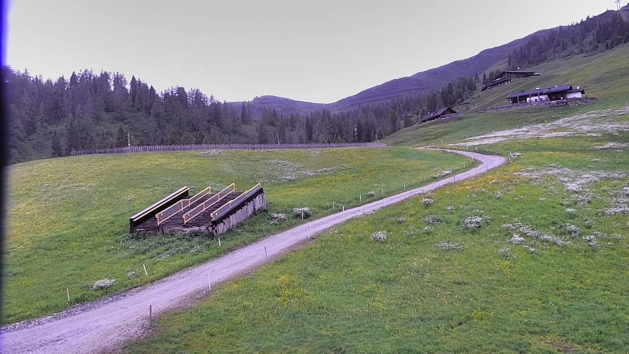 Archiv Foto Webcam Snowpark Flachauwinkl