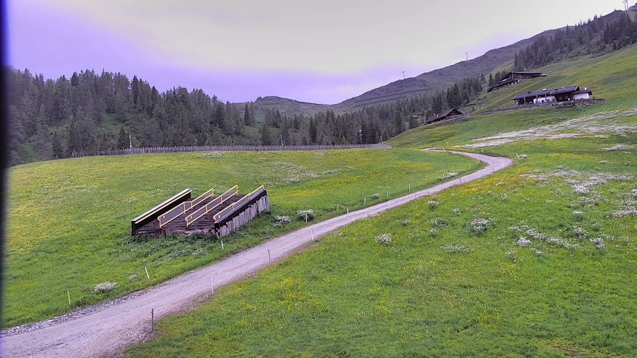 Archiv Foto Webcam Snowpark Flachauwinkl