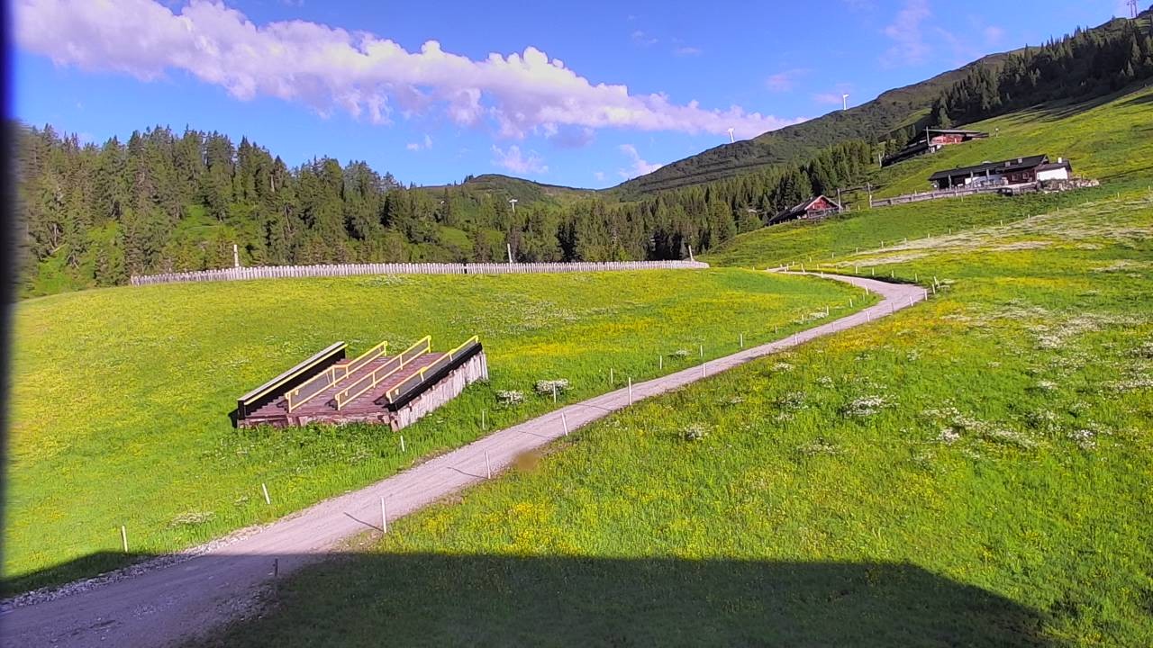 Archiv Foto Webcam Snowpark Flachauwinkl