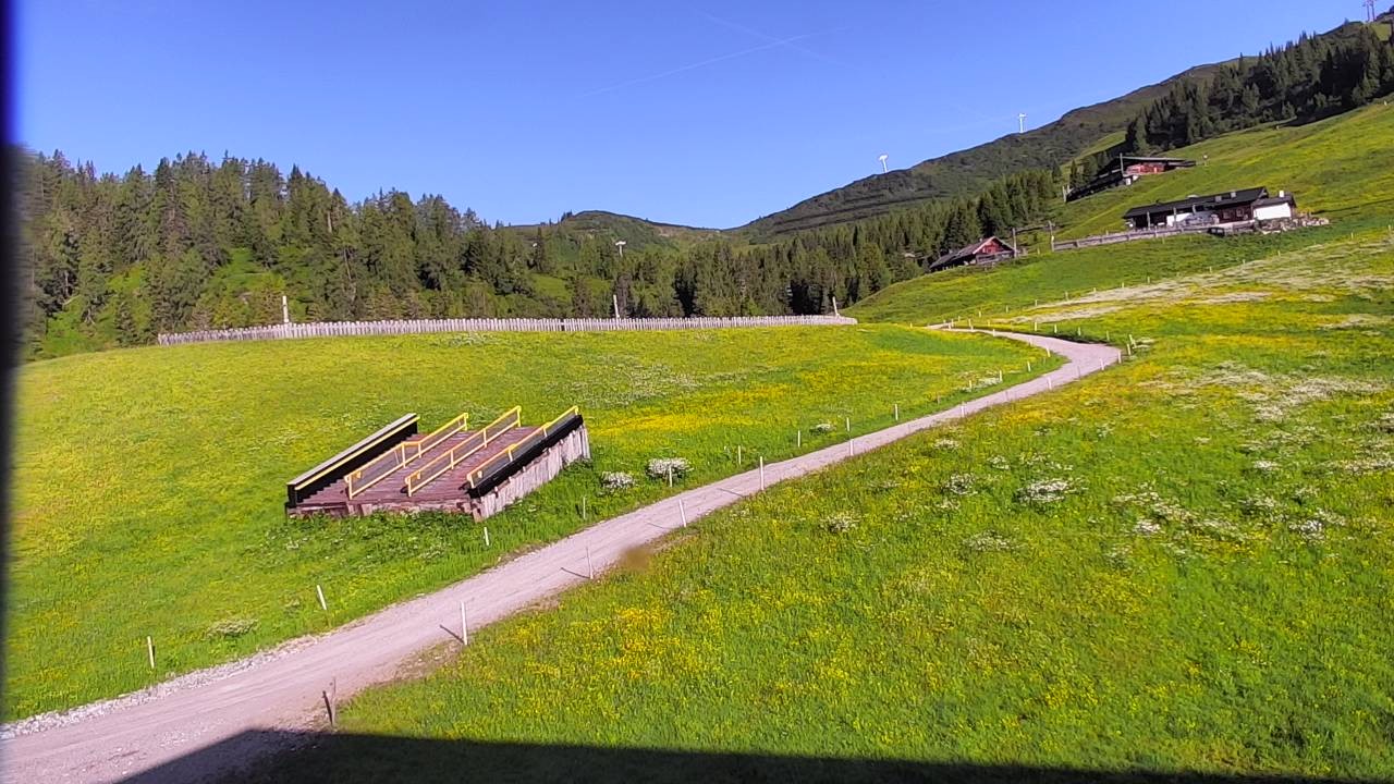 Archived image Webcam Snowpark Flachauwinkl