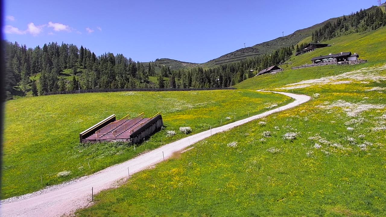 Archived image Webcam Snowpark Flachauwinkl