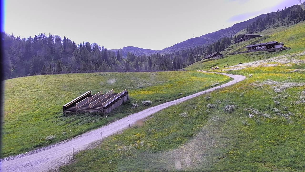 Archiv Foto Webcam Snowpark Flachauwinkl
