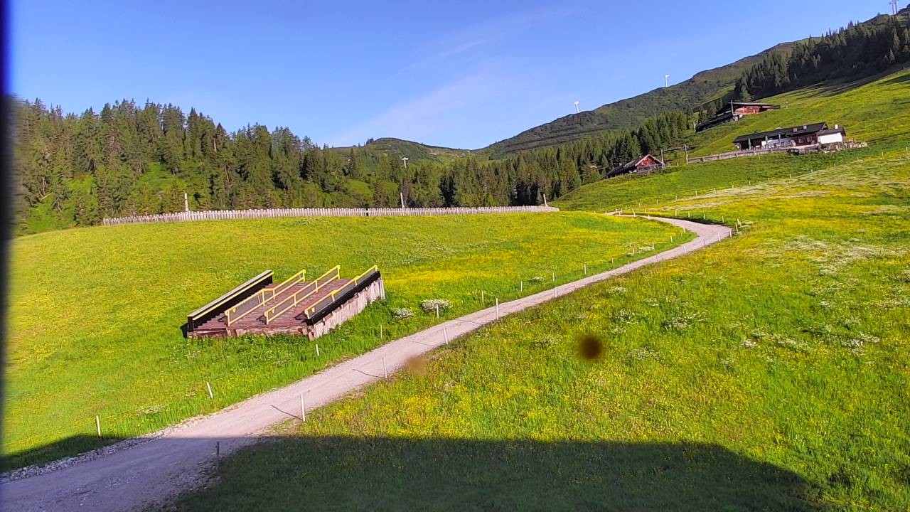 Archived image Webcam Snowpark Flachauwinkl