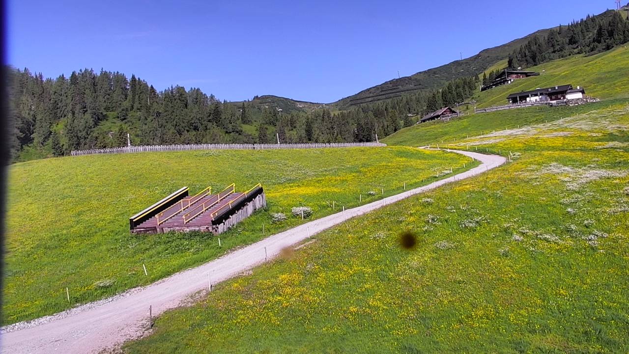 Archived image Webcam Snowpark Flachauwinkl
