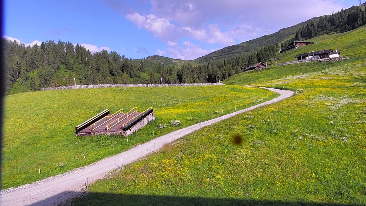 Archived image Webcam Snowpark Flachauwinkl