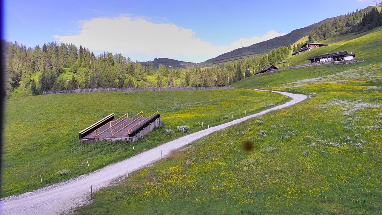 Archived image Webcam Snowpark Flachauwinkl