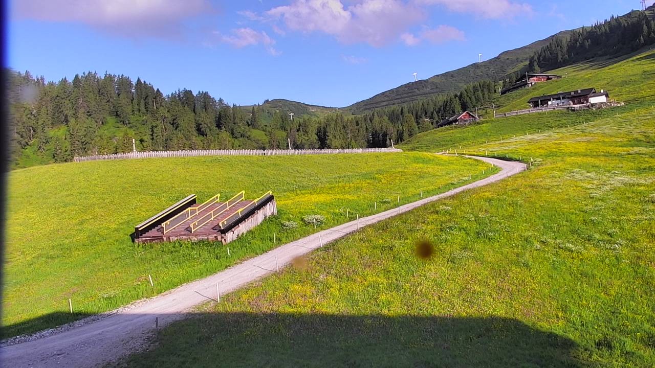 Archiv Foto Webcam Snowpark Flachauwinkl