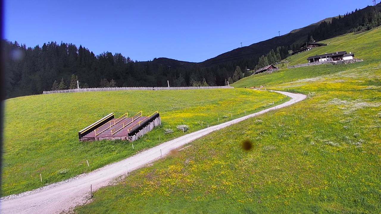Archiv Foto Webcam Snowpark Flachauwinkl