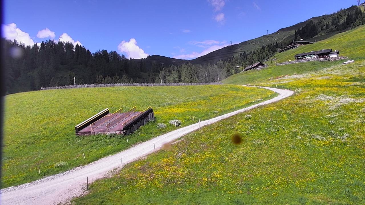 Archiv Foto Webcam Snowpark Flachauwinkl