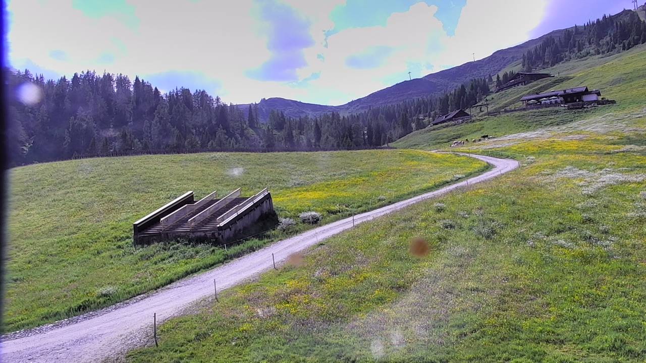 Archiv Foto Webcam Snowpark Flachauwinkl
