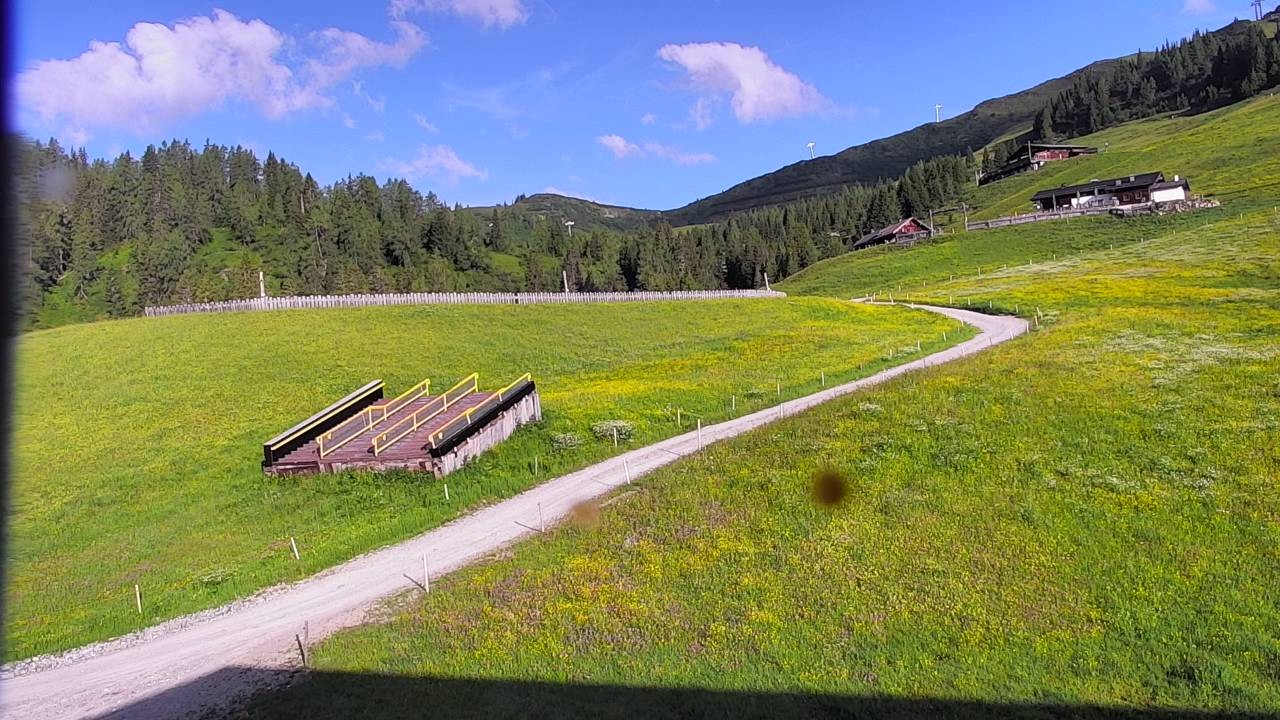 Archiv Foto Webcam Snowpark Flachauwinkl