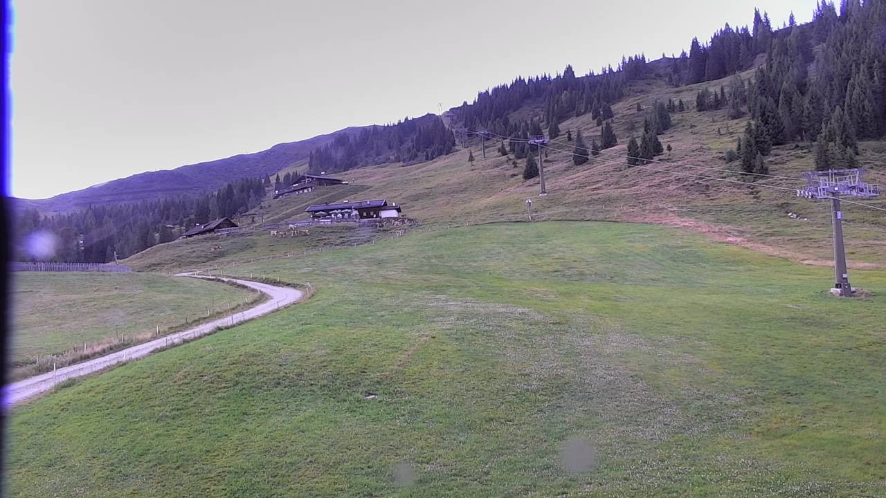 Archiv Foto Webcam Snowpark Flachauwinkl