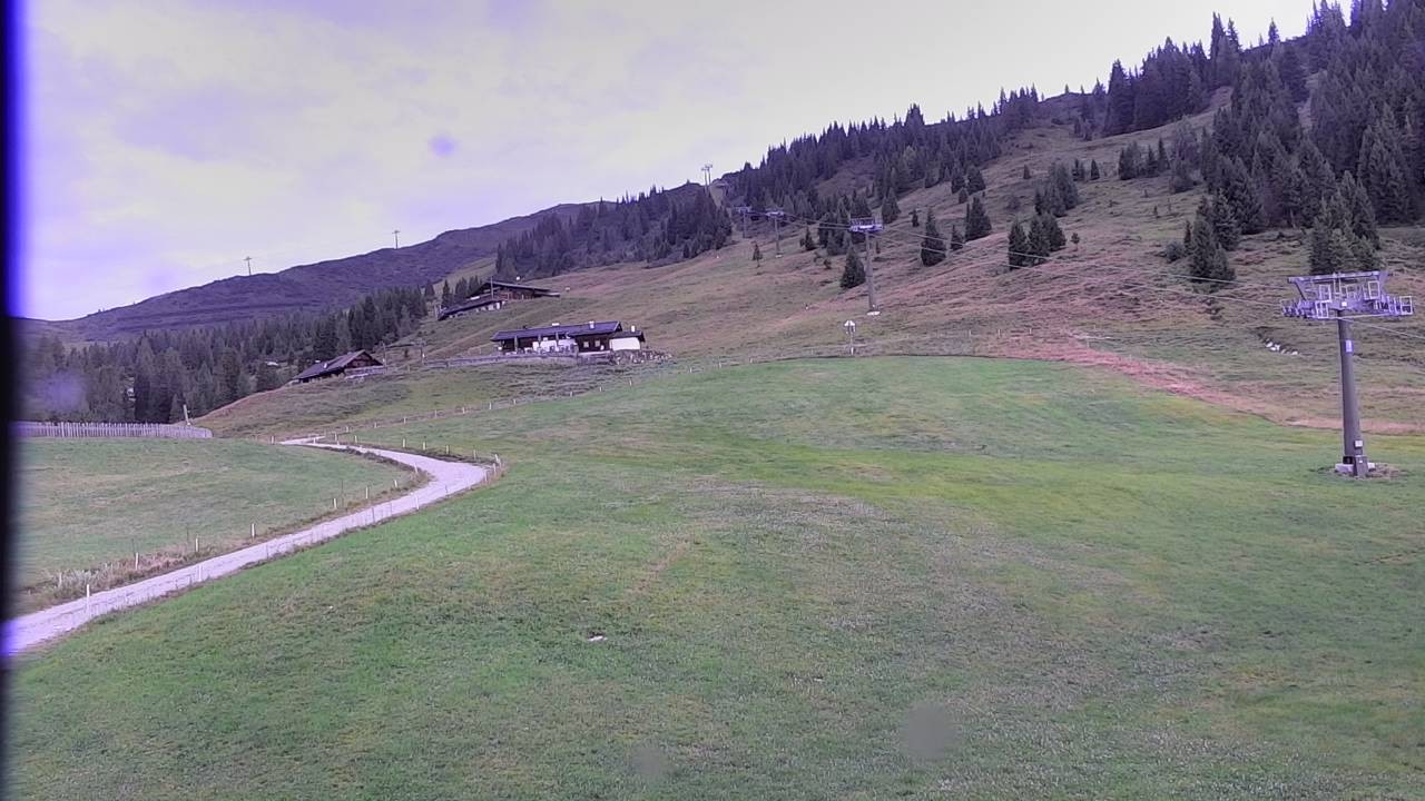 Archiv Foto Webcam Snowpark Flachauwinkl