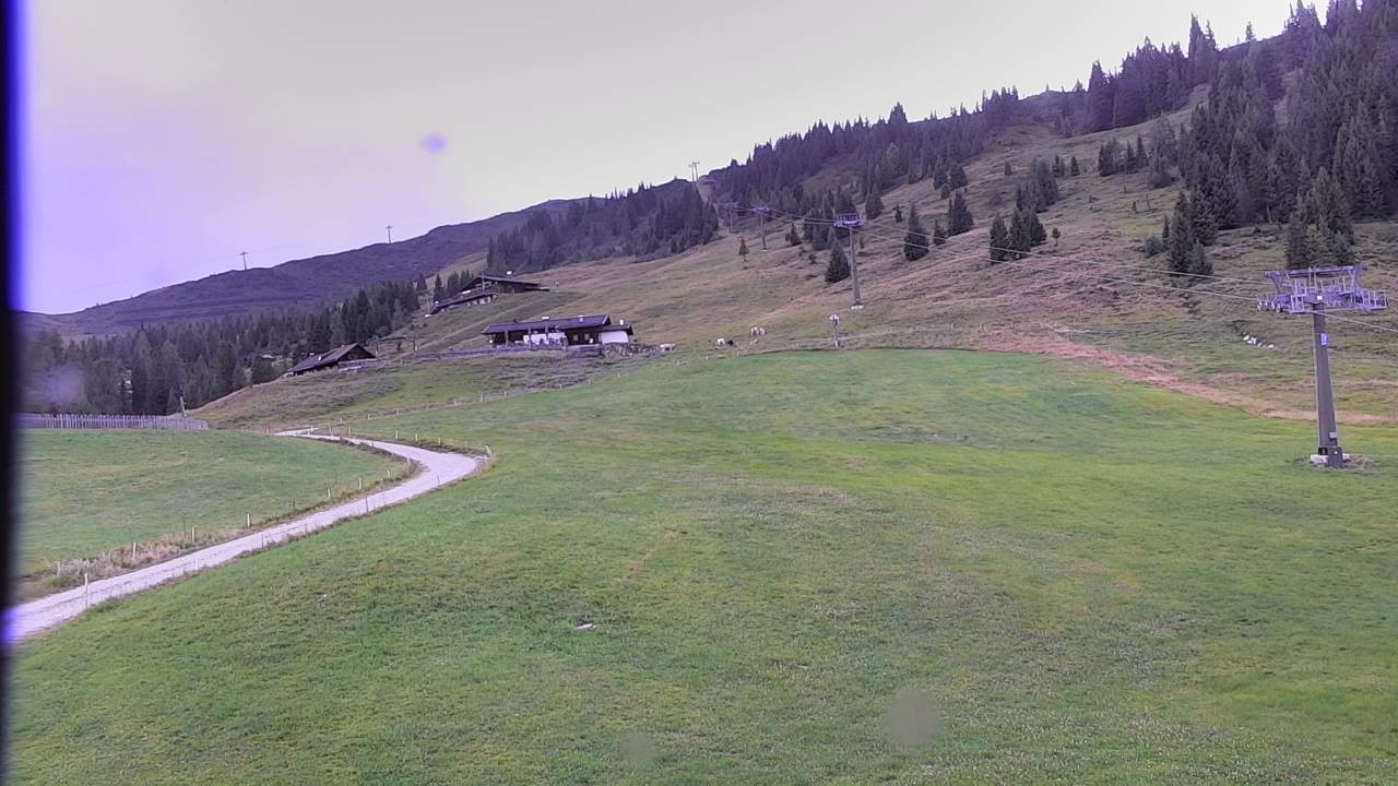 Archiv Foto Webcam Snowpark Flachauwinkl