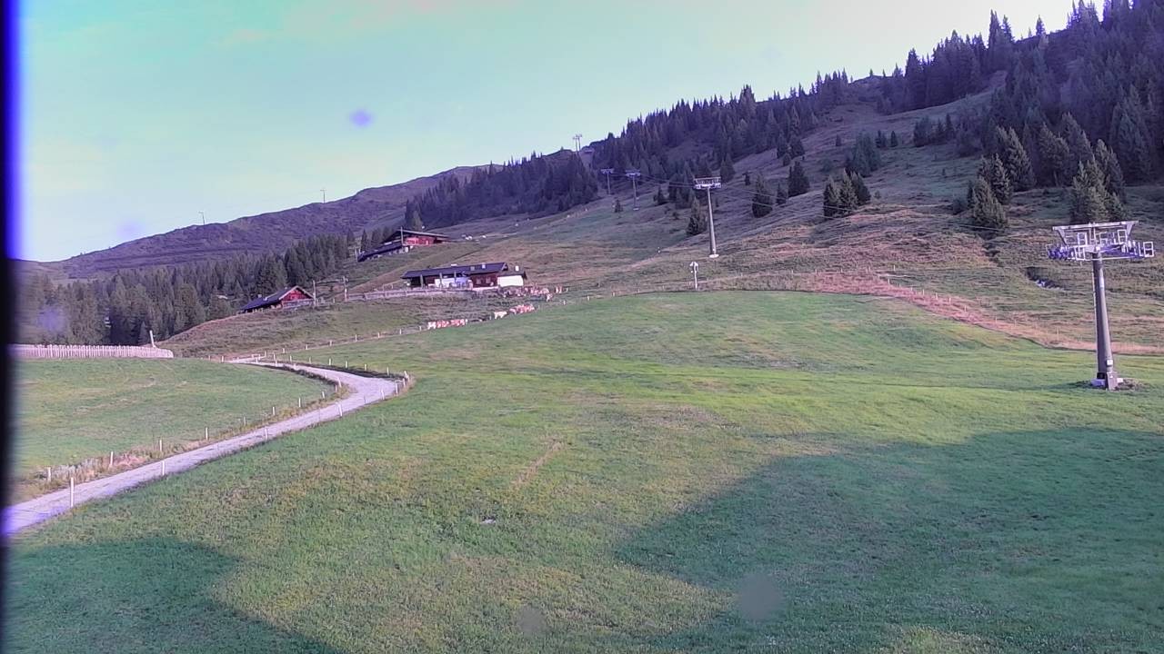 Archived image Webcam Snowpark Flachauwinkl