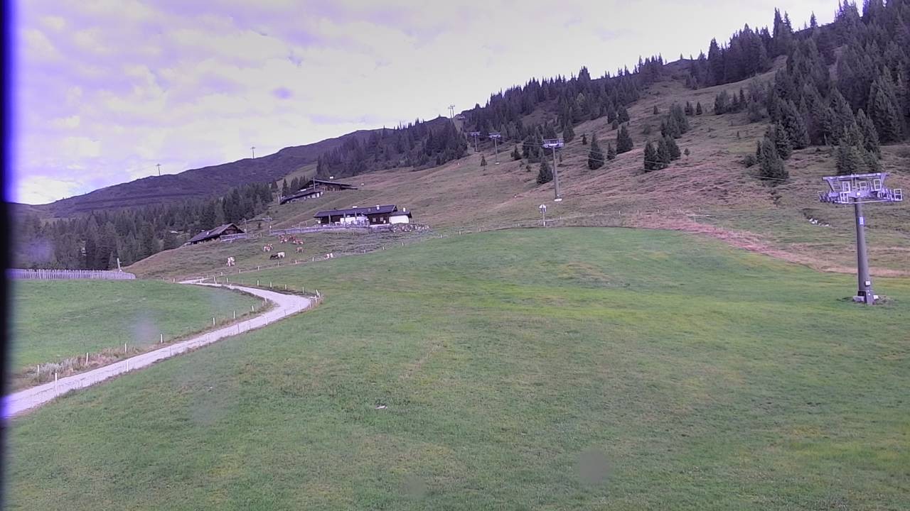 Archiv Foto Webcam Snowpark Flachauwinkl