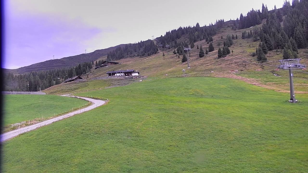Archiv Foto Webcam Snowpark Flachauwinkl