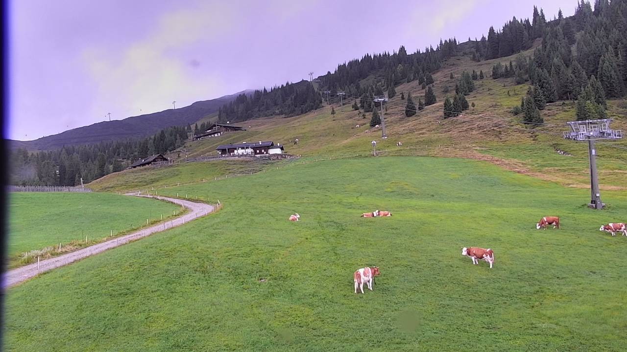 Archived image Webcam Snowpark Flachauwinkl