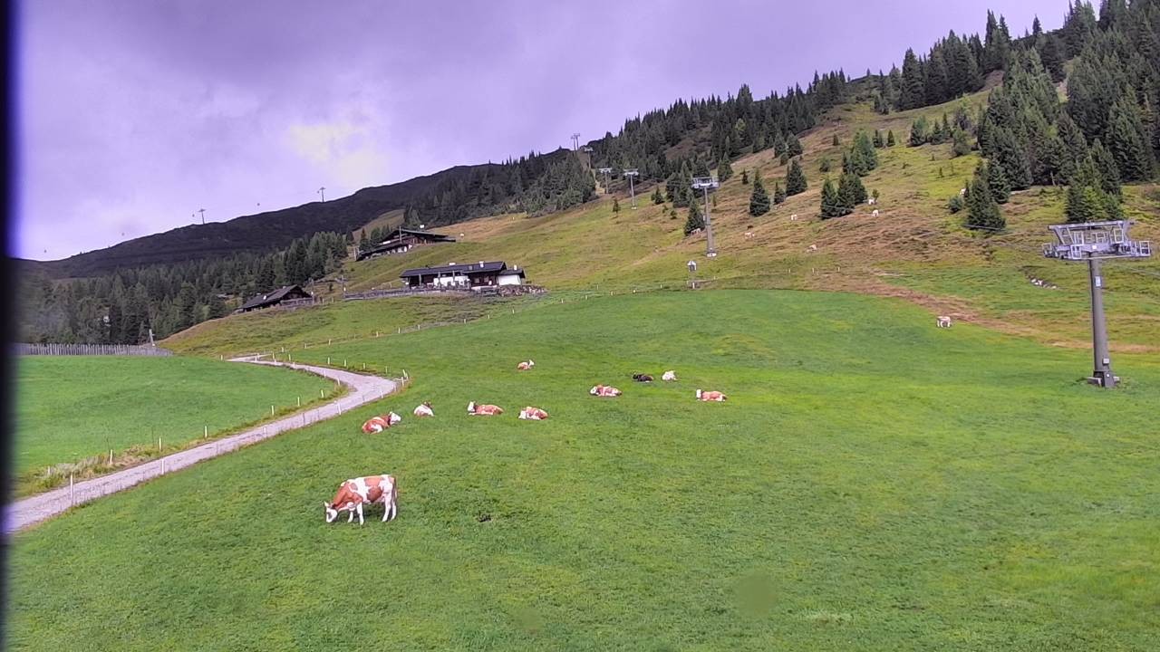 Archived image Webcam Snowpark Flachauwinkl
